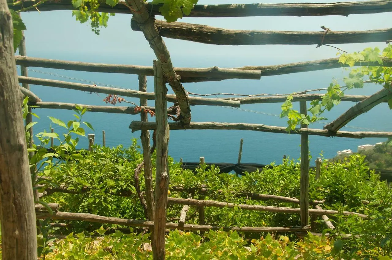 Holiday home Casa Martina Villa Amalfi